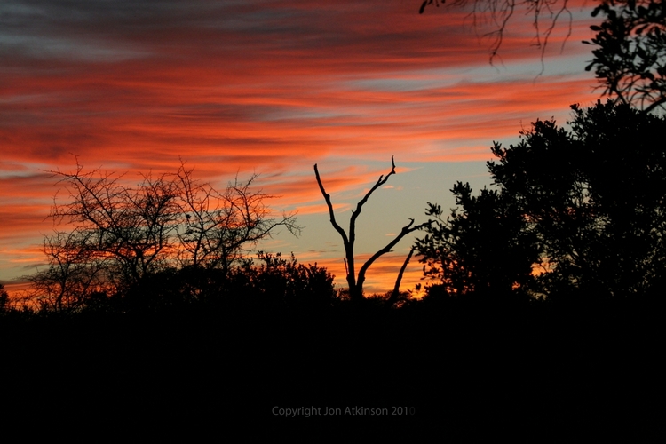 Sun rise in Tsavo East National Park, Kenya Sun rise in Tsavo East National Park, Kenya